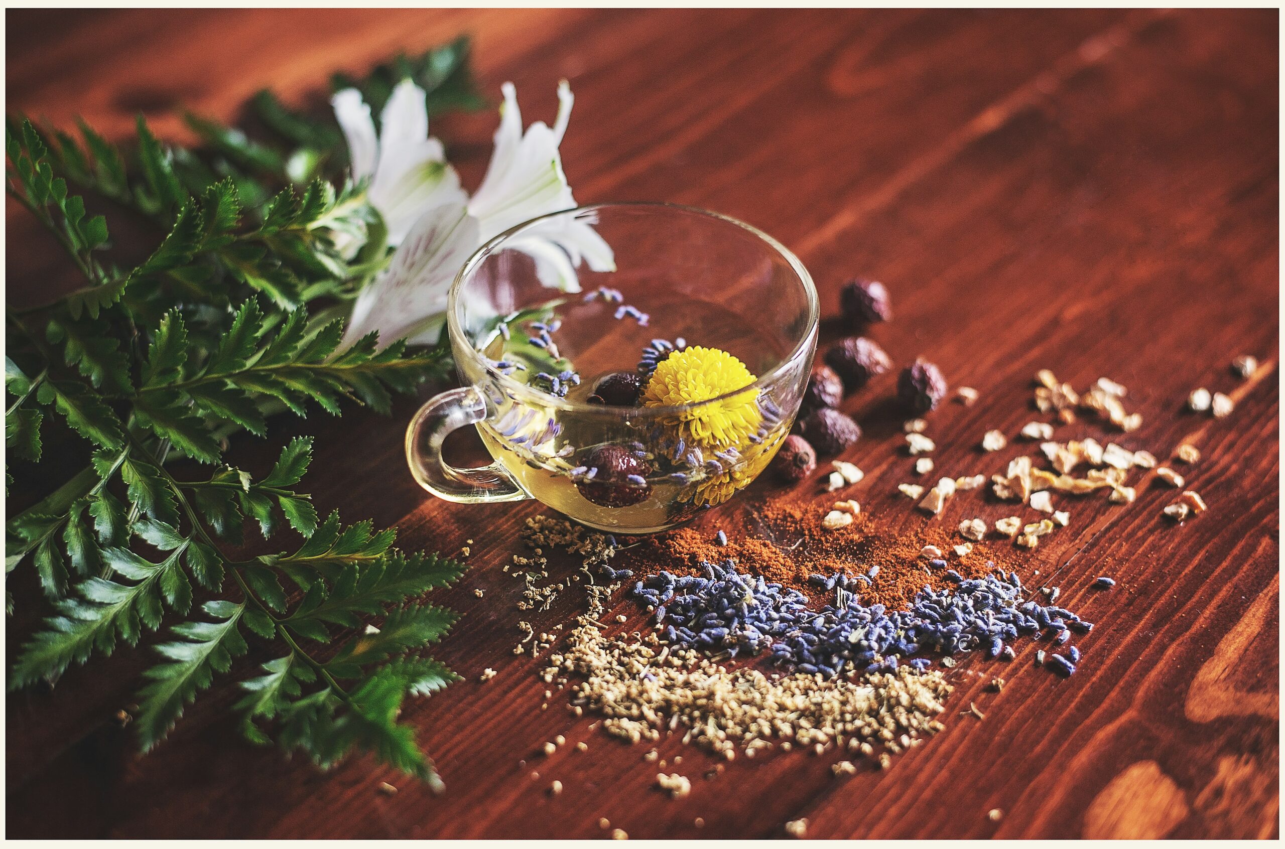 You are currently viewing The Benefits of Herbal Medicine